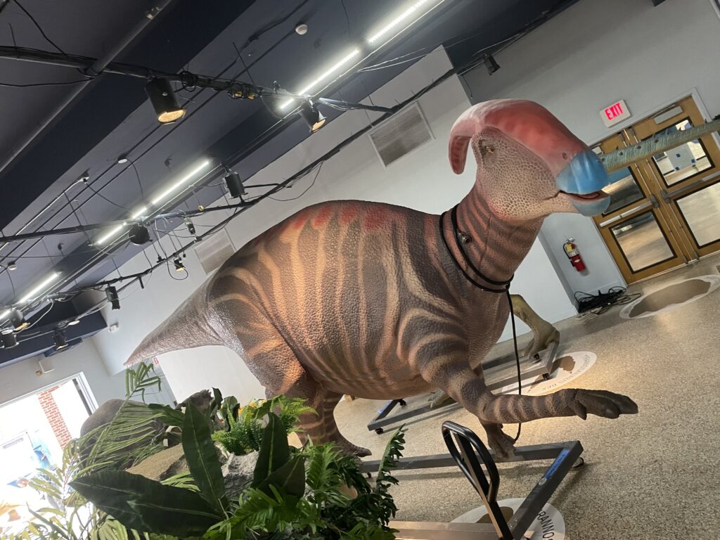 Dinosaurs Exhibit - Catawba Science Center - Barringer Moving and Storage