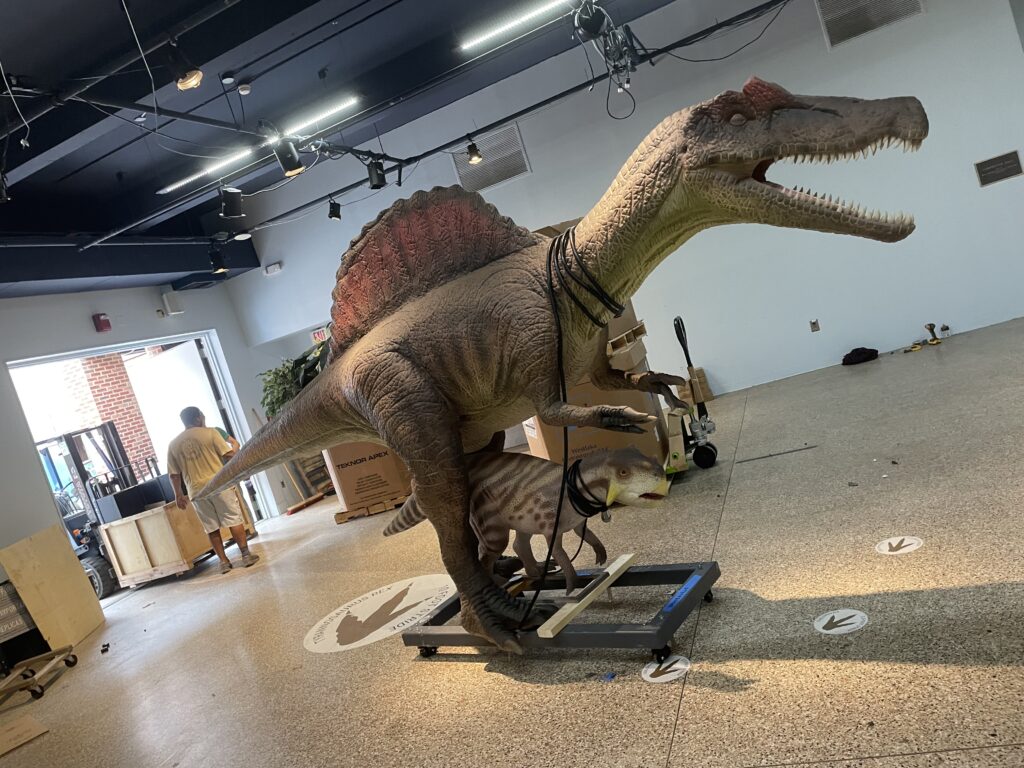 Dinosaurs Exhibit - Catawba Science Center Hickory NC - Barringer Moving and Storage